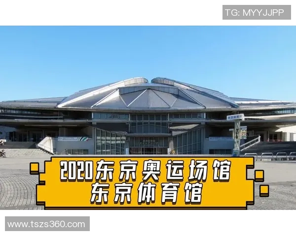 赛后分析:西安乒乓球队与杭州乒乓球队速度对比与战术探讨